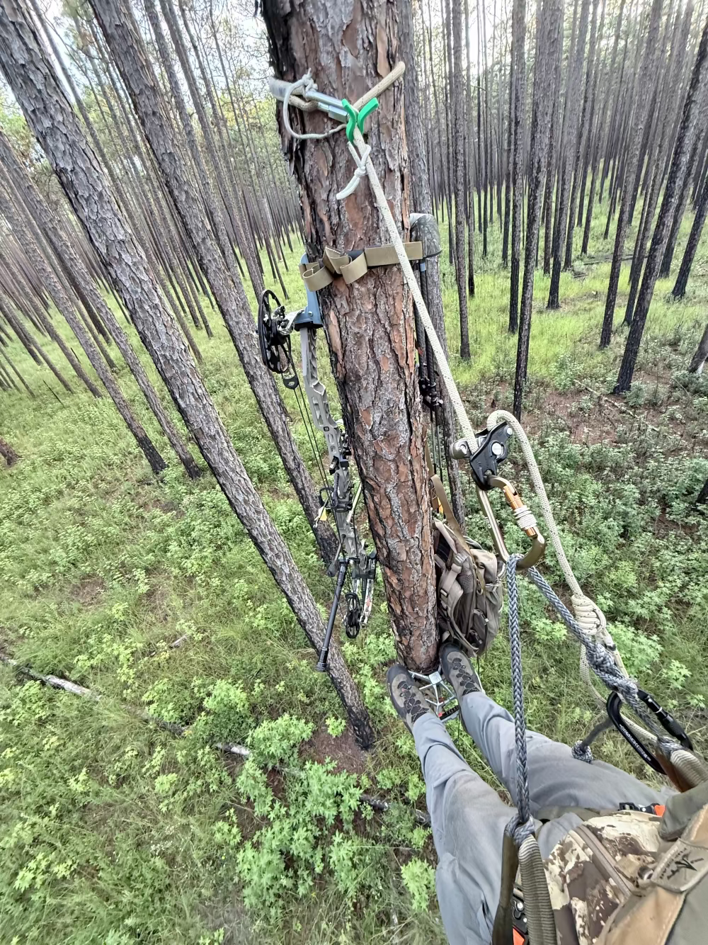 Person using the TetherLocker in a saddle tree stand